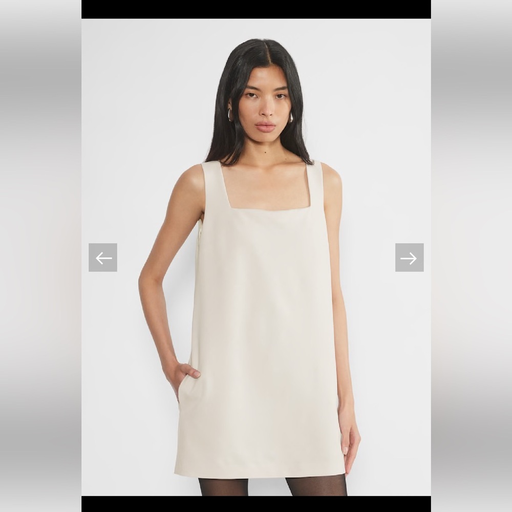 Matte Pearl Babaton Dress - XXS